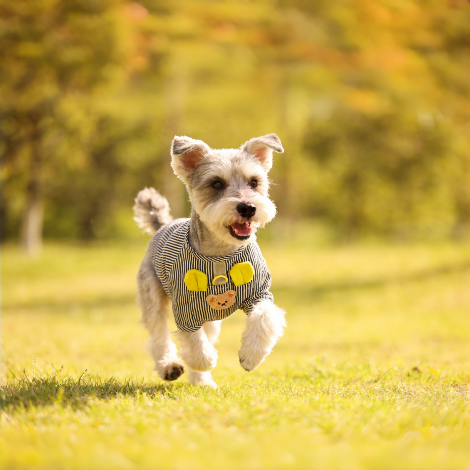 Spring/Summer Collection