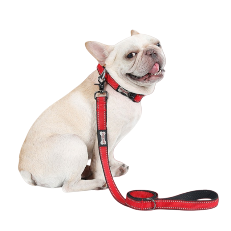 Durable Pet Leash