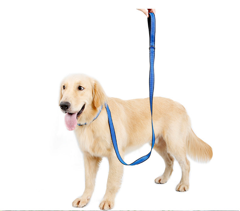Reflective Comfort Nylon Pet Leash