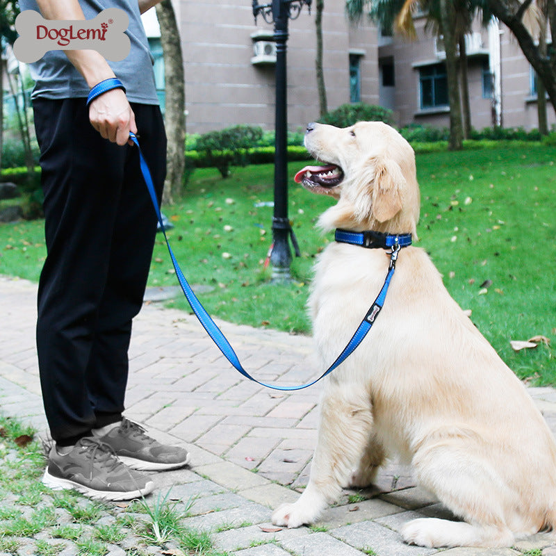 Reflective Comfort Nylon Pet Leash