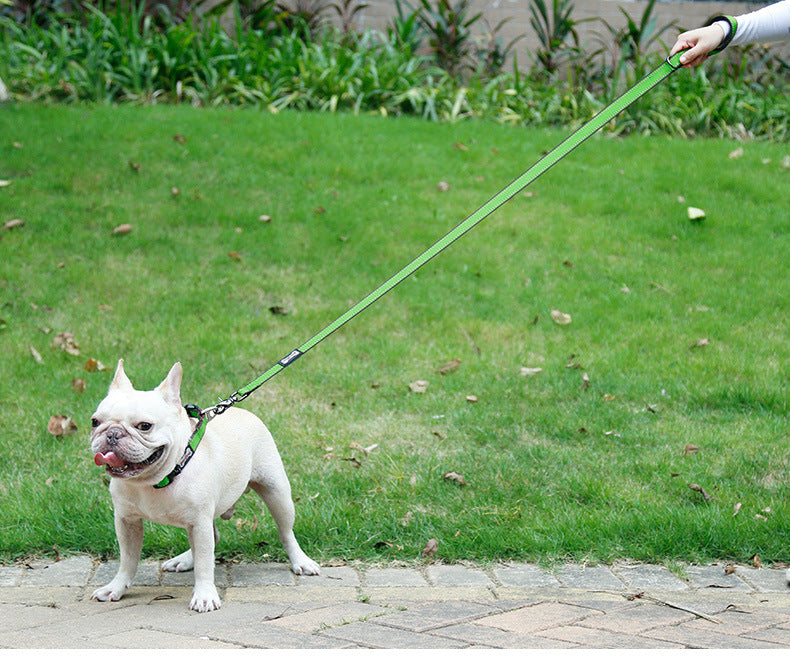Reflective Comfort Nylon Pet Leash