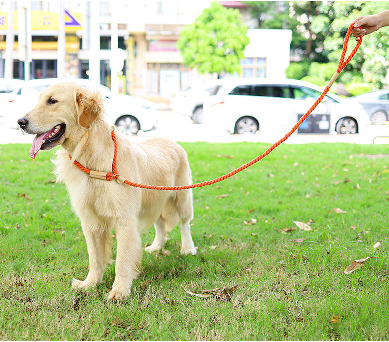 INS Multi-Color Cotton Rope Collar & Leash