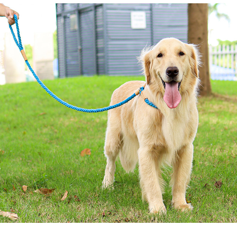 INS Multi-Color Cotton Rope Collar & Leash