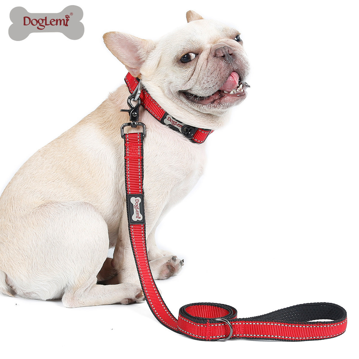 Reflective Comfort Nylon Pet Leash