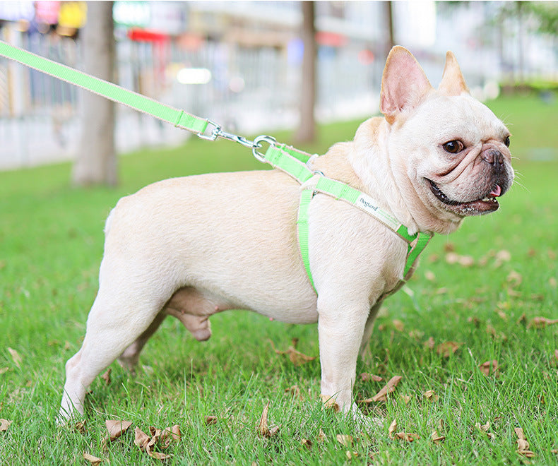 Bamboo Antibacterial Pet Harness & Lead Set
