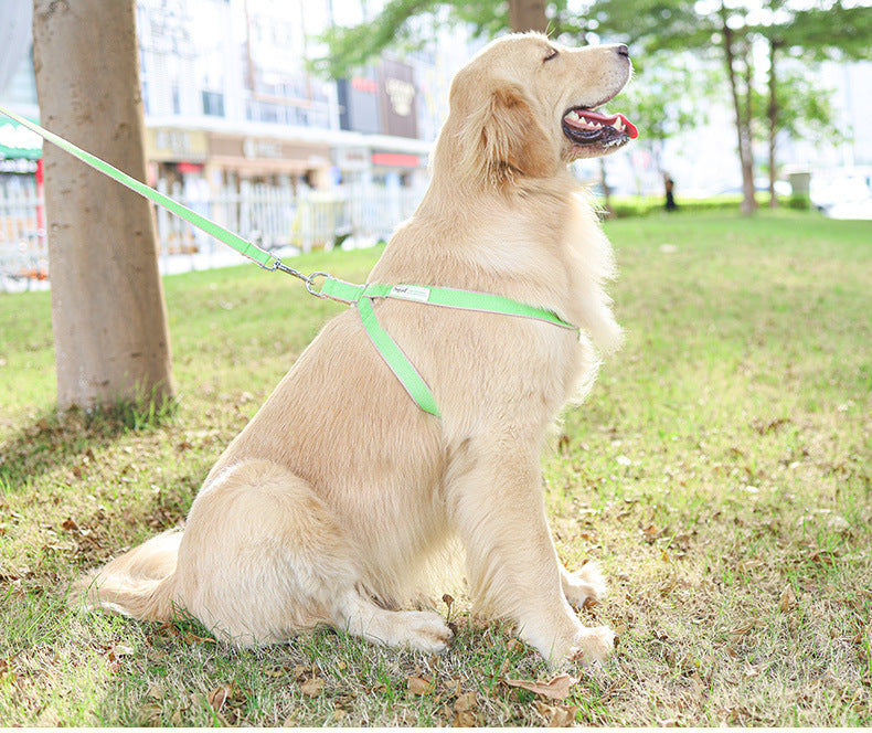 Bamboo Antibacterial Pet Harness & Lead Set