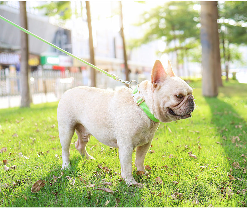 Bamboo Antibacterial Pet Harness & Lead Set
