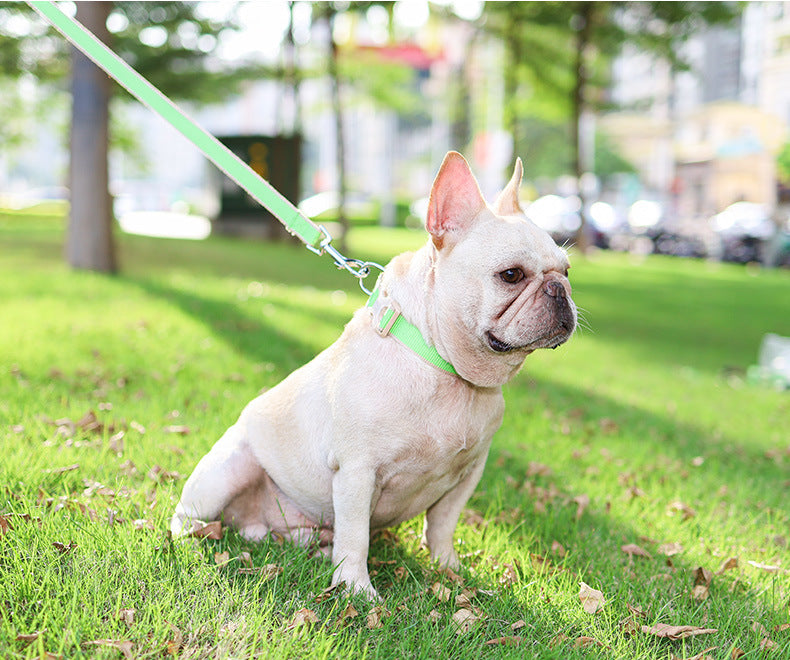 Bamboo Antibacterial Pet Harness & Lead Set