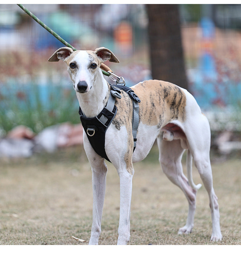 Reflective Comfort Harness