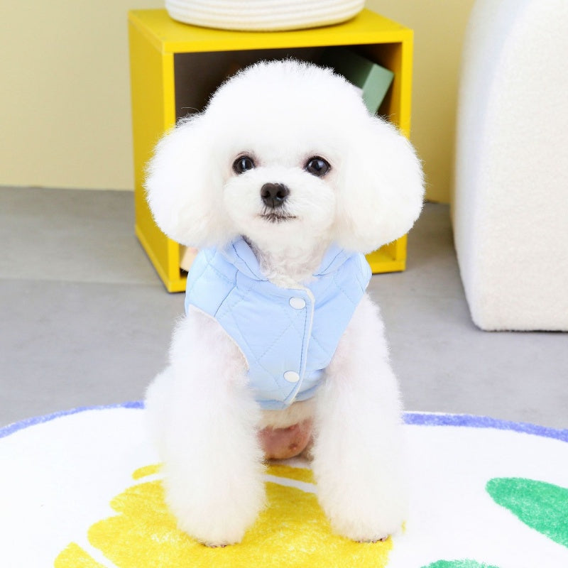 Cartoon Thick Cotton Pet Coat