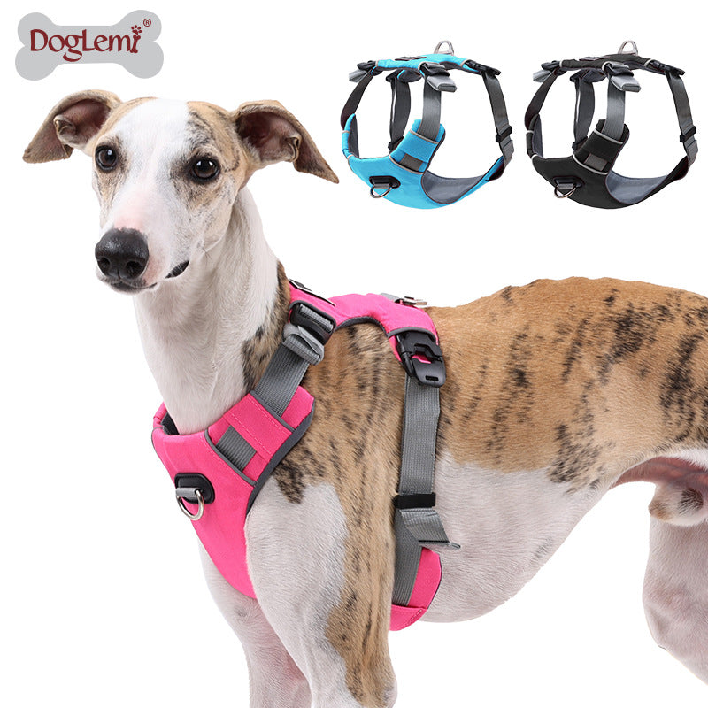 Reflective Comfort Harness