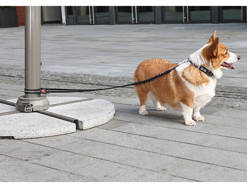 Anti-Shock Car Safety Dog Leash