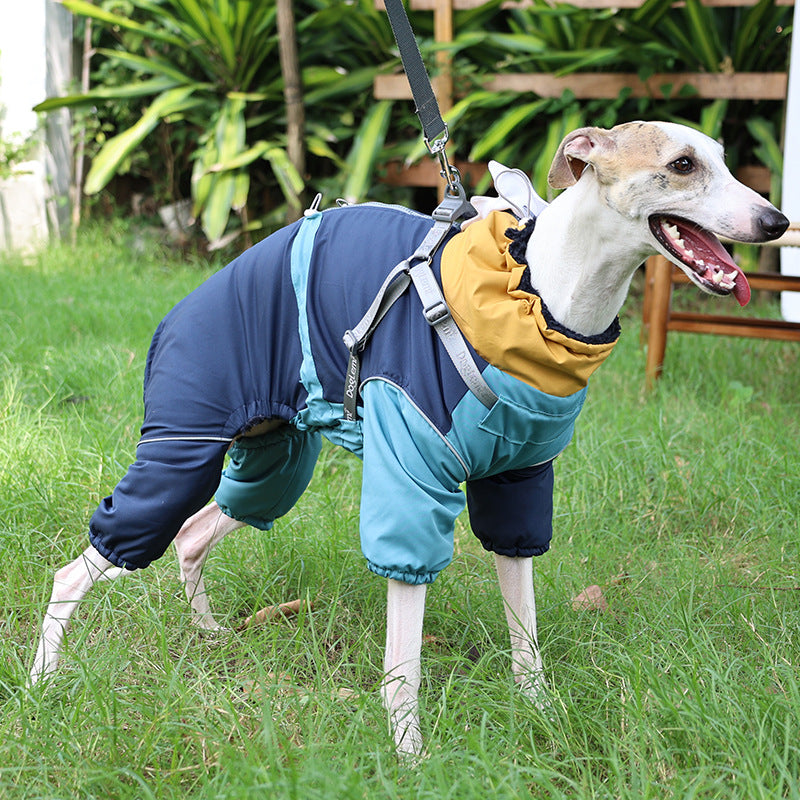 Winter Shark 4-Leg Warm Leash-Friendly Dog Coat