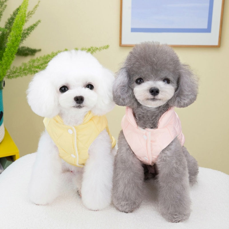 Cartoon Thick Cotton Pet Coat