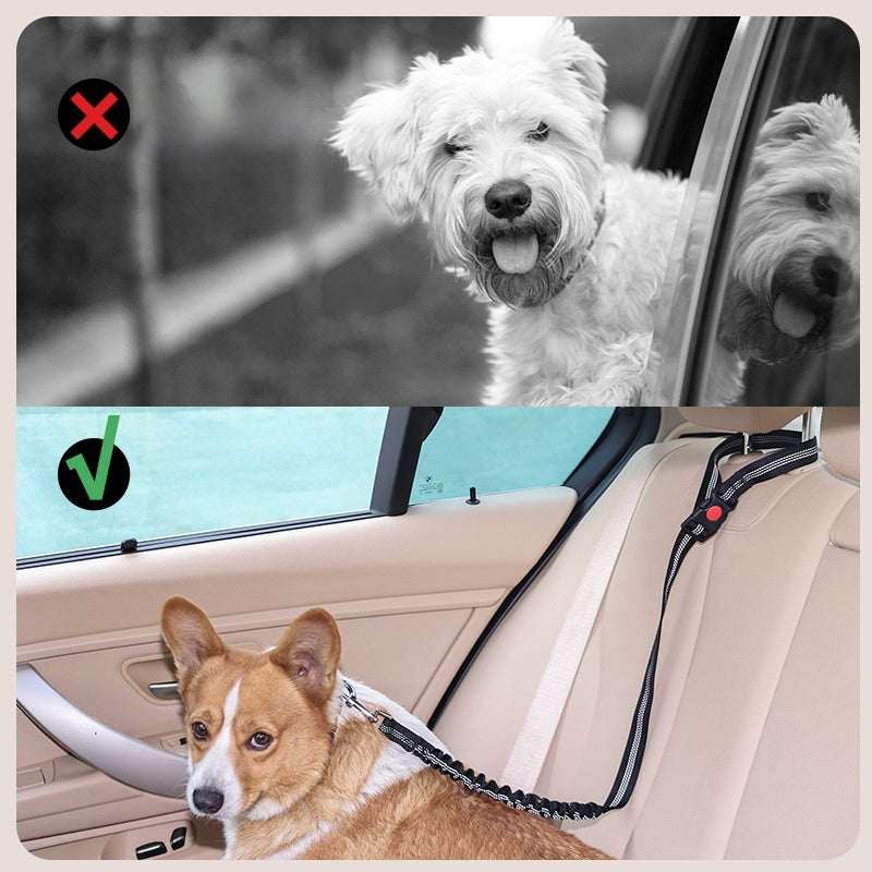 Anti-Shock Car Safety Dog Leash