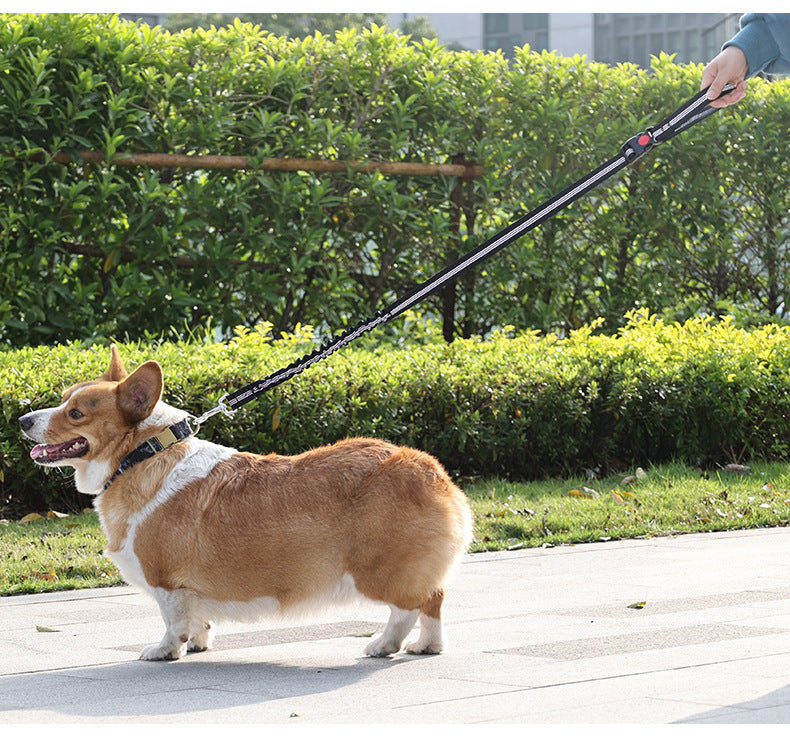 Anti-Shock Car Safety Dog Leash